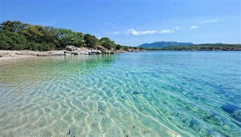 L’isola – Porto di Cavallo 